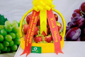 Hoa quả nhập khẩu Ngọc Châu fruits